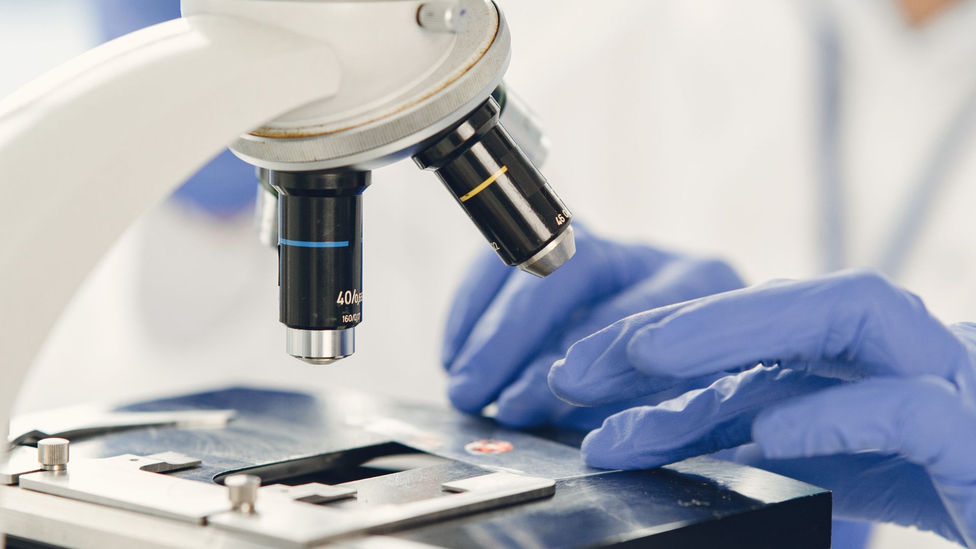 Stem Cells Mexico