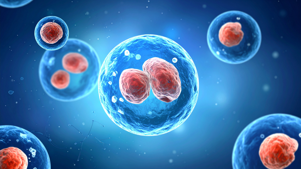 Stem Cell Treatment in Cancun Mexico